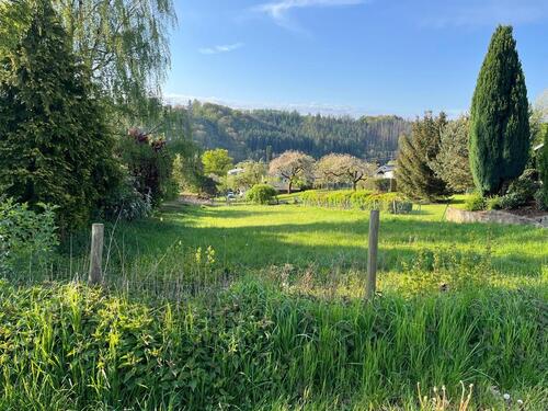 Foto - Hennef Happerschoss Wiese Garten,Zaun,,Pferde, Kühe, Schafe,Ziege