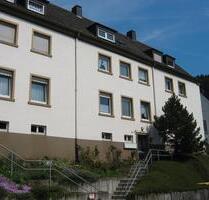 renovierte 2 Zimmer Wohnung in ruhiger Lage - Werdohl