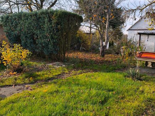 Foto - Grundst&uuml;ck in Bitterfeld-Wolfen zur Miete