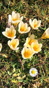 Foto - andere zur Miete in Rettenberg