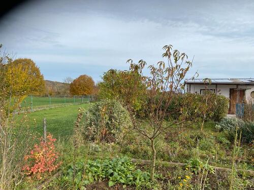 Foto - Grundstück in Seegebiet Mansfelder Land