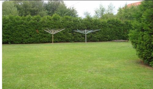 Foto - 1 Zimmer Etagenwohnung in Mittweida