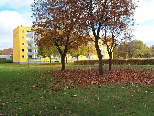 Foto - Familienwohnung zum 01.06.2026!