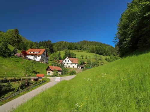 Foto - Ferienwohnung im Schwarzwald-Bauernhof ❤ Ruhe + Natur ❤ 2-6 Pers.