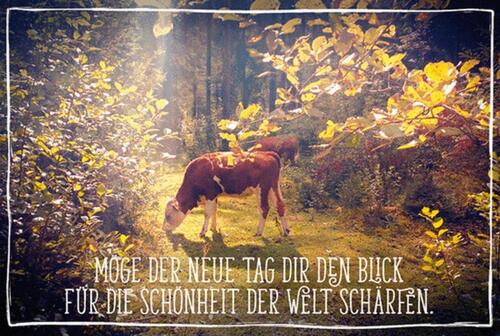 Foto - Wohnung im Fachwerkhaus Hofgemeinschaft