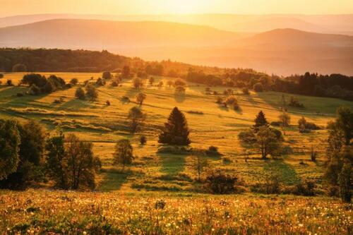 Foto - Mehrfamilienhaus in der Rhön zu verkaufen