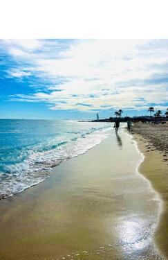 Foto - andere in Bernau bei Berlin