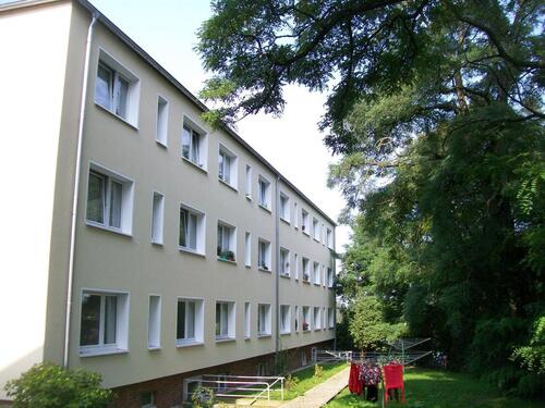 Foto - 3 Zimmer Erdgeschoßwohnung zur Miete in Magdeburg