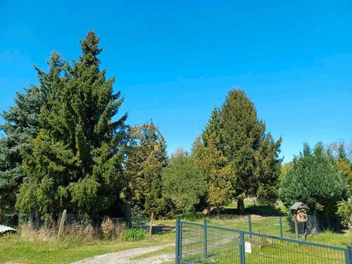 Foto - Grundst&uuml;ck in Malschwitz