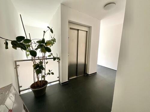 Foto - 2 Zimmer Einfamilienhaus zur Miete in Barßel
