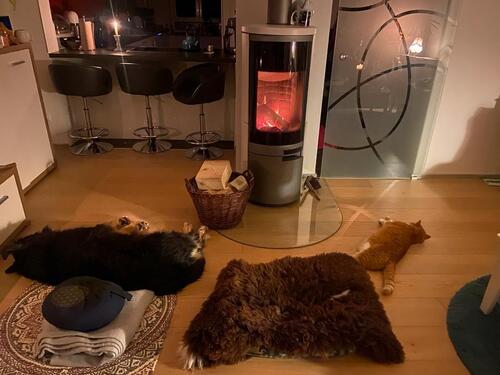 Foto - Haus zu vermieten - 1.750,00&nbsp;EUR Kaltmiete, ca.&nbsp; 123,00&nbsp;m&sup2;