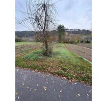 Garten zu verpachten - 50,00&nbsp;EUR Kaltmiete, ca.&nbsp; 0,00&nbsp;m&sup2; in Königheim (PLZ: 97953)