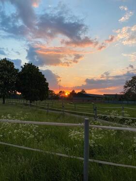 Foto - Erstbezug nach Sanierung HünxeDrevenack