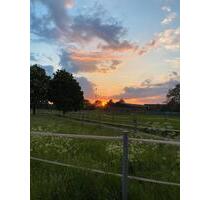 Erstbezug nach Sanierung HünxeDrevenack - Schermbeck