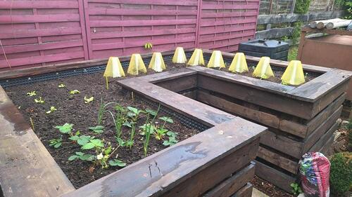 Foto - Grundst&uuml;ck in Apolda