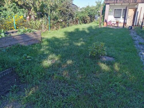 Foto - Grundstück zur Miete in Calau