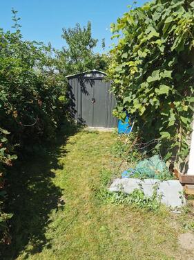 Foto - Grundstück in Calau