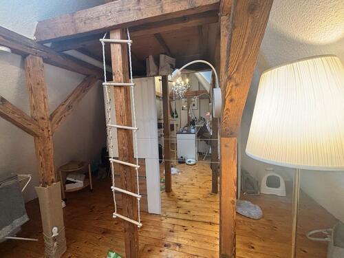 Foto - Dachgeschoßwohnung in Bonn zur Miete