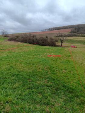 Foto - 1060m² Wiesengrundstück in 55606 Limbach bei Kirn Pachtgrundstück