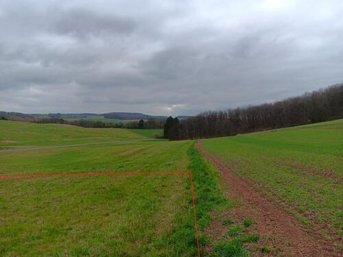 Foto - Grundstück zur Miete in Kirn