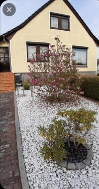 Foto - Einfamilienhaus in Domsühl