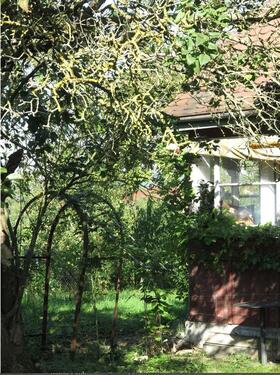 Foto - Wunderschöner Obstgarten zu verpachten