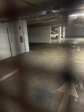 Foto - andere in Dresden