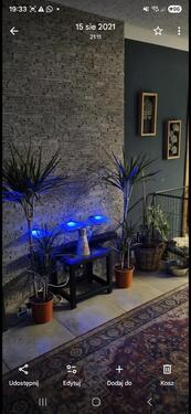 Foto - Wohnung zu vermieten - 800,00&nbsp;EUR Kaltmiete, ca.&nbsp; 75,00&nbsp;m&sup2;