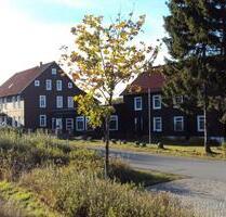 3 Häuser 1 Preis Superangebot - 220.000,00 EUR Kaufpreis, in Braunlage (PLZ: 37444) Sankt Andreasberg