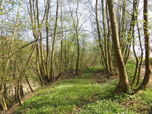 Foto - 400,00 EUR Kaltmiete, ca.  0,00 m²