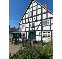 Ferienhaus Goldhase im Sauerland, bis 8 Pers. - Medebach
