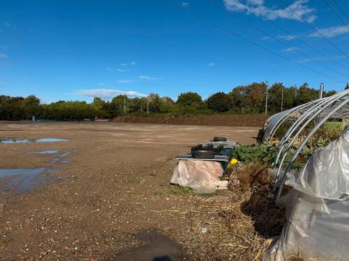 Foto - andere in Vechelde