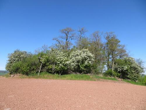 Foto - 4.100,00 EUR Kaltmiete, ca.  0,00 m²