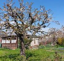 Wunderschöner Pachtgarten in Magdeburg – perfekt zum Abschalten