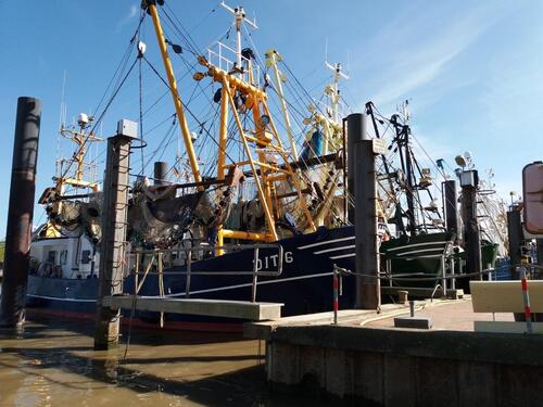 Foto - Ditzum Ferienwohnung Ostfriesland Urlaub Fewo 2-4Personen