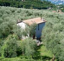 Freistehendes Ferienhaus Casa Laura in einem 2500 qm großen Olivenhain in Malcesine am Gardasee - München Nymphenburg