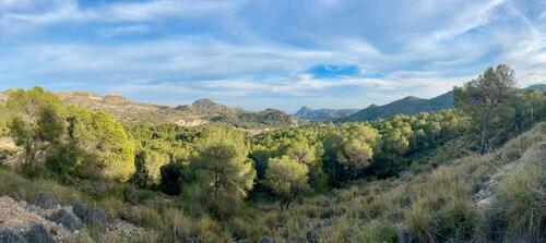 Foto - Einfamilienhaus zum Kaufen in Fellbach