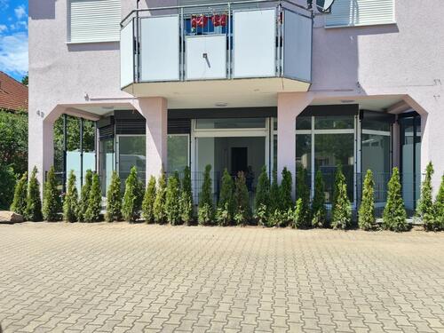 Foto - Etagenwohnung zur Miete in Coswig