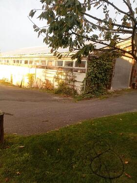 Foto - andere zur Miete in Katzwinkel (Sieg)