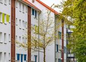 Foto - Reinkommen und Wohlfühlen: interessante 2-Zimmer-Wohnung