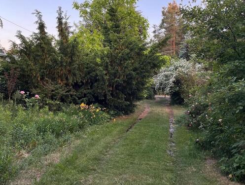 Foto - einmaliges großes Gartengrundstück mit kleinem Gartenhäuschen