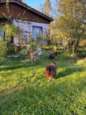 Foto - Einfamilienhaus in Beetzsee
