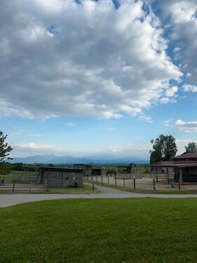 Foto - andere zur Miete in München