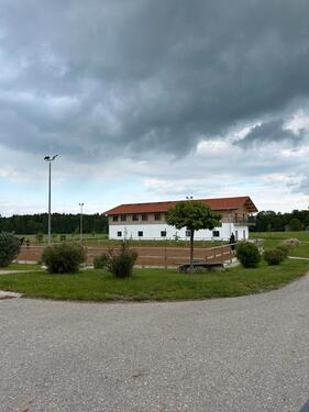 Foto - andere in München