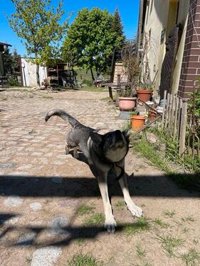 Foto - 2 Zimmer Etagenwohnung zur Miete in Neukloster