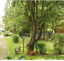 3-Zi-Whg mit Balkon und Blick ins Grüne - Gotha