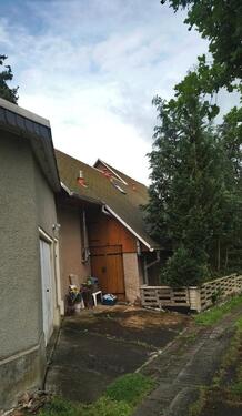Foto - Einfamilienhaus in Leisnig zum Kaufen