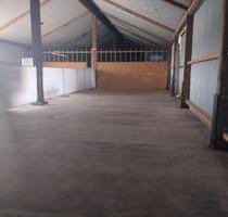 190 m² Lagerhalle – mit Starkstrom & LKW-Zufahrt - Birkenfeld