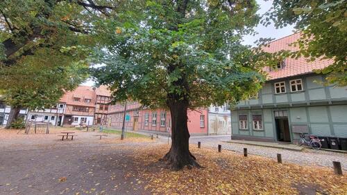 Foto - Etagenwohnung zur Miete in Quedlinburg