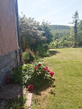 Foto - Hochparterre in Rosdorf zur Miete